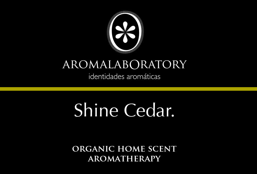 Parfum Intérieur d'Aromathérapie pour le Diffuseur. SHINE CEDAR. 6 Recharges.